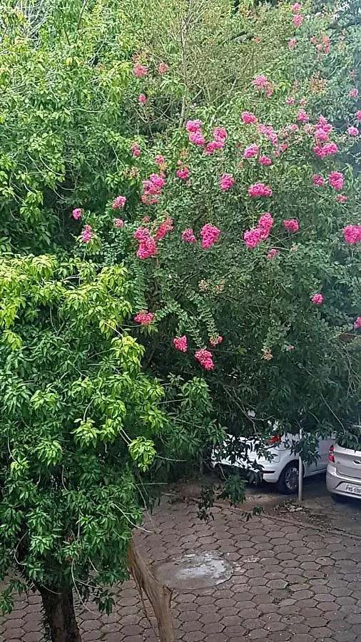 Apartamento Aconchegante e Confortável Porto Alegre