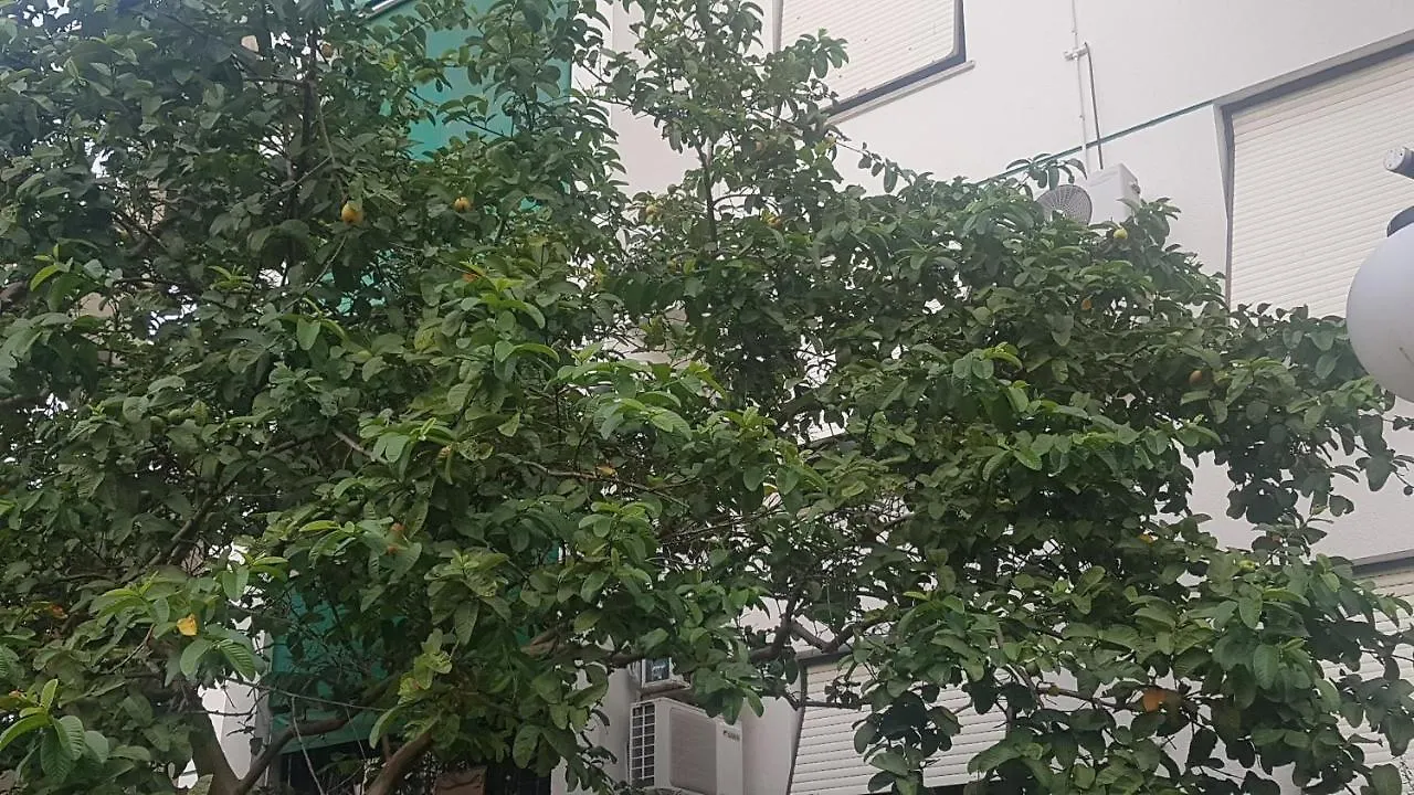Apartamento Aconchegante e Confortável Porto Alegre